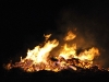 thumbs bild 152 Bilder