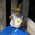 Hallo Kinder, hier kommt das Juni-Rätsel! Hallo Kinder, bis jetzt hatte noch niemand die richtige Lösung für das Rätsel… Ich habe es daher verlängert bis zum 15. Juli. Gewinnen könnt Ihr (unter anderem) eine Autogrammkarte! Aber...