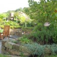 Mädchenauge trifft Schokoladenblume “Offene Gartenpforte“ lockte viele Besucher nach Wilkenroth Pressemeldung 1. September 2011: „Der überzeugte Gartenfreund kommt notfalls in Gummistiefeln“, lacht Gartenbesitzer Carsten Ingwersen. Trotz zum Teil ungünstiger Wetterverhältnisse nutzten sogar Besucher...