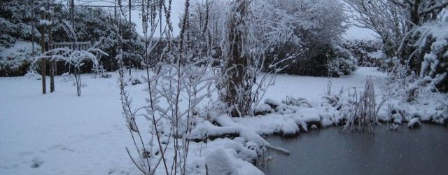 Liebe Natur- und Gartenfreunde, die Stadt Bonn verschickte kürzlich die Einladungen zur Teilnahme an der Offenen Gartenpforte 2012. Wer Lust hat, kann mitmachen und sich bis zum 19. Februar anmelden...