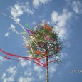 &nbsp; ….Mairosen Blümelein…” Am Dienstag, dem 30. April feiern wir ab 19 Uhr auf dem Dorfplatz in den Mai. Hier anklicken:  Einladung Eiersingen 2013