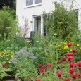 Der eisige Wind und der Endloswinter lassen uns Gartenfreunde inzwischen ja schon fast verzweifeln, aber irgendwann werden wir wieder unsere grünen Wohnzimmer genießen dürfen. In der ganzen Region werden verschiedene...